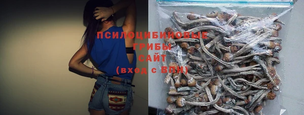 стаф Нижний Тагил