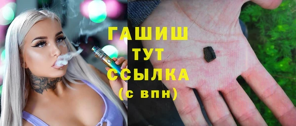 дурь Няндома