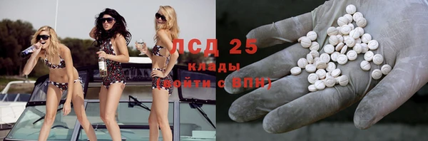 дурь Няндома