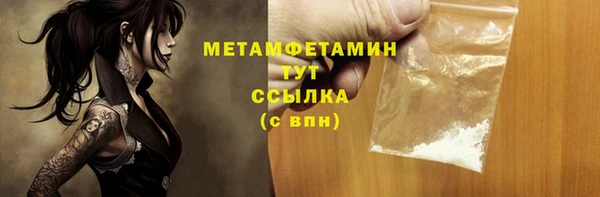 дурь Няндома