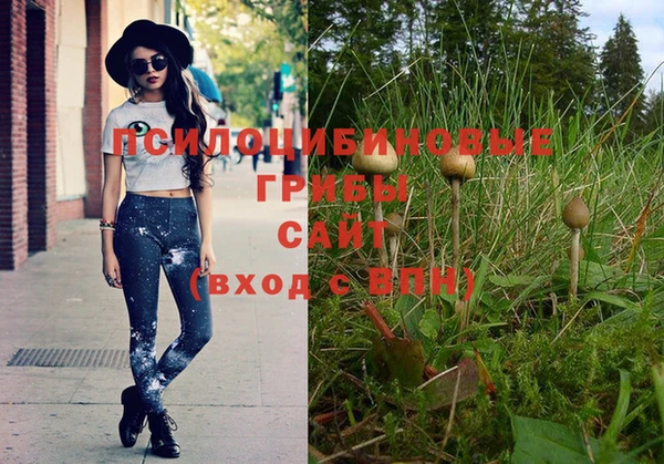 МДПВ Нязепетровск