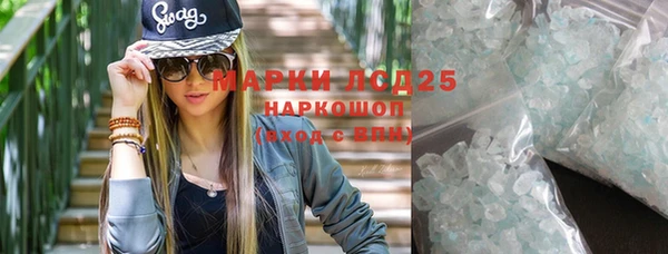 дурь Няндома